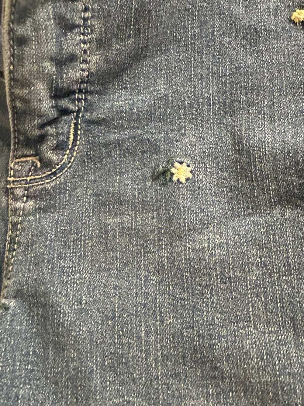 Seven7 Embroidered Denim Shorts - Blue with Multicolor Floral Dots - Picture 4 of 4